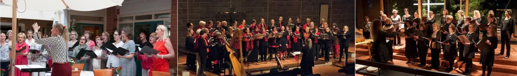 Tapiolan Laulun konsertteja